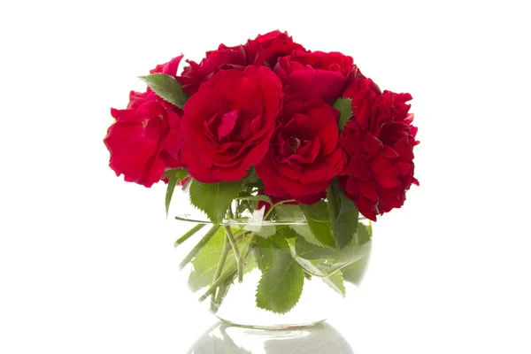 Bouquet of red roses Royalty Free Stock Images