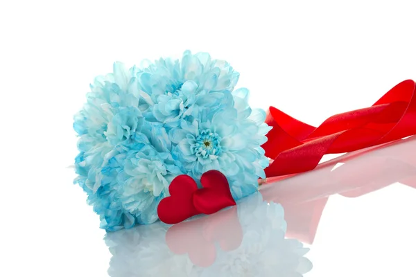 Синие хризантемы с двумя красными сердцами — стоковое фото