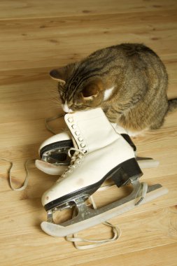 Figure Skates clipart