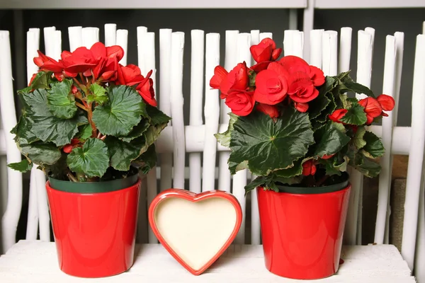 Happy Valentine's Day — Stock Photo, Image