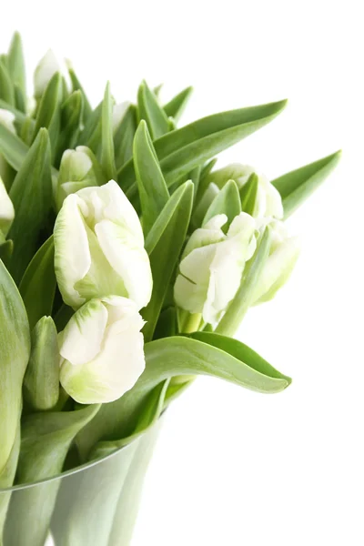 Tulips Bouquet — Stock Photo, Image