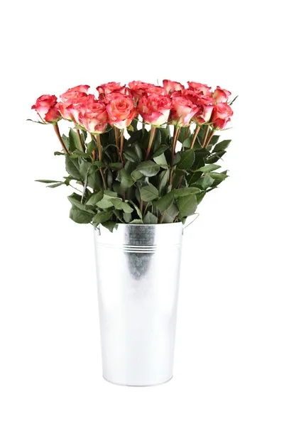 Mnoho růže多くのばら — Stock fotografie