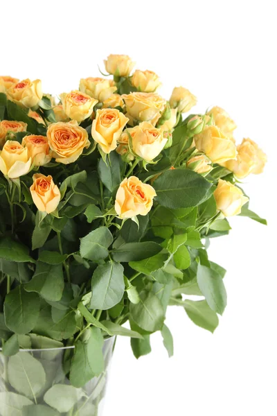 Yellow roses — Stock Photo, Image