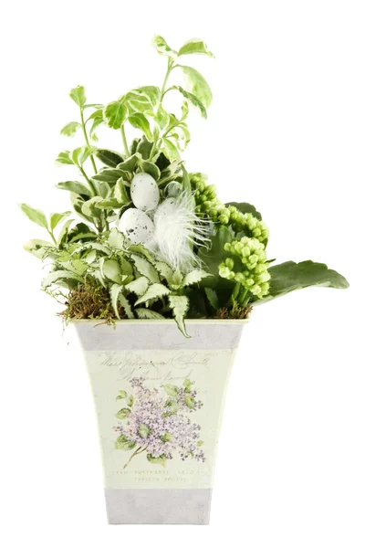 Komposition mit Blumen und Pflanzen — Stockfoto