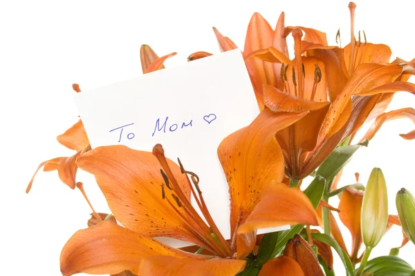 Stock image Happy mother’s Day Mom