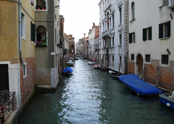 stock image Venice