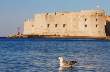 Dubrovnik'in eski şehir parkında gündoğumu