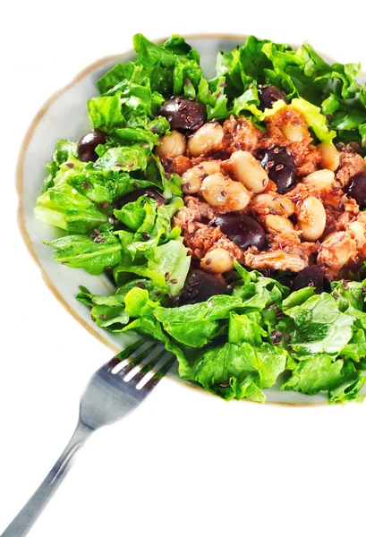 Tuna salad with beans and black olives — Stock Photo, Image