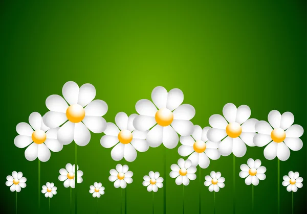 白色雏菊矢量 — 图库矢量图片