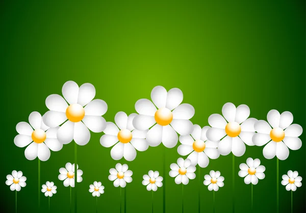 White Daisies Vector — Stock Vector