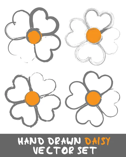 Hand drawn Daisy Set Vector — Stock Vector