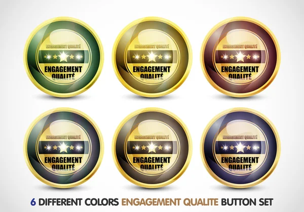 Colorido Engajamento Qualite botão Set — Vetor de Stock