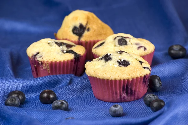 Blaubeeren-Muffin — Stockfoto