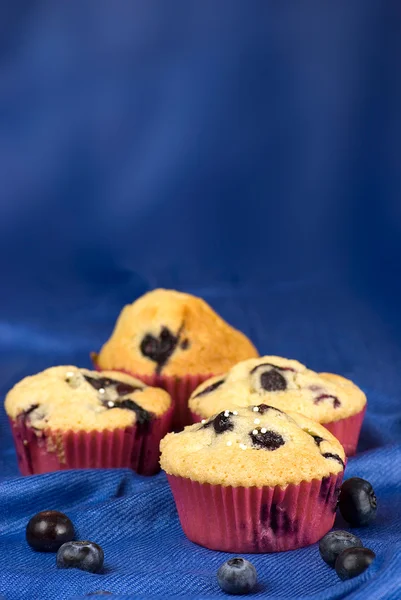 Borůvky muffin — Stock fotografie