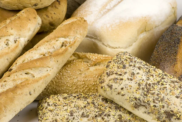 stock image Variety of bread