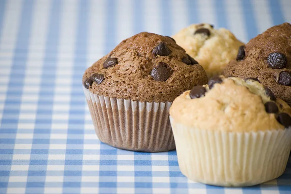 Zelfgemaakte muffins — Stockfoto