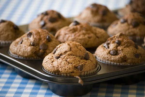 Muffins faits maison — Photo