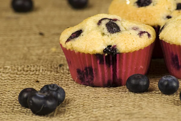 stock image Blueberries muffin