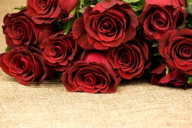 Red roses clipart