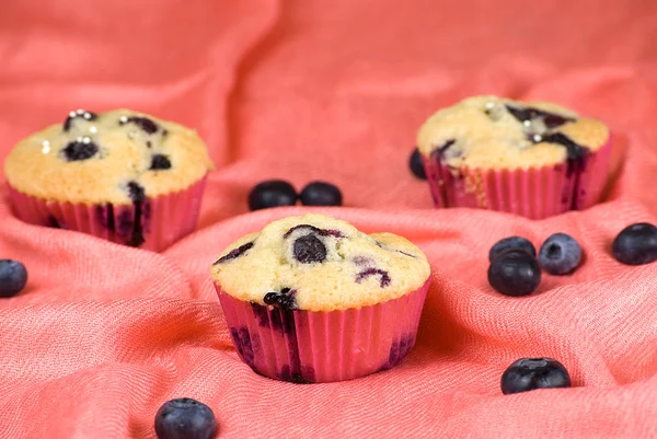 蓝莓松饼 — 图库照片