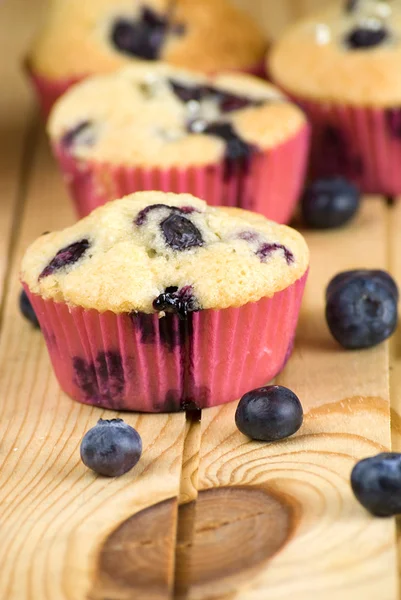 Muffin de mirtilos — Fotografia de Stock