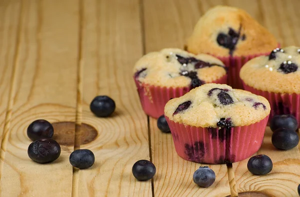 Blåbär muffin — Stockfoto