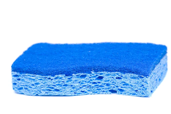 Blauwe spons — Stockfoto