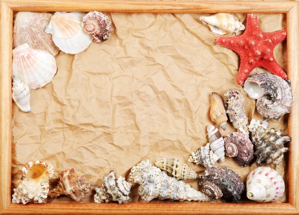 Marco de concha marina — Foto de Stock