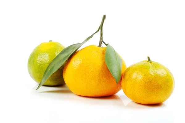 Mandarinky oranžová — Stock fotografie