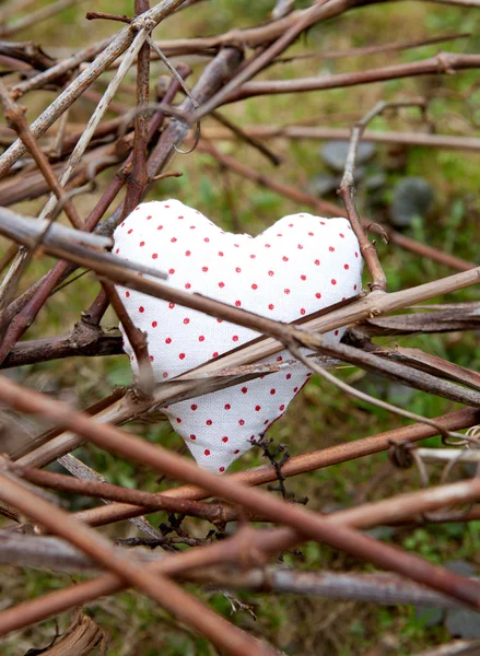 Corazón en rama de uva — Foto de Stock