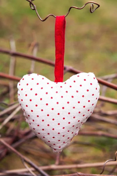 Hanging heart on grape branch — Stock Photo, Image