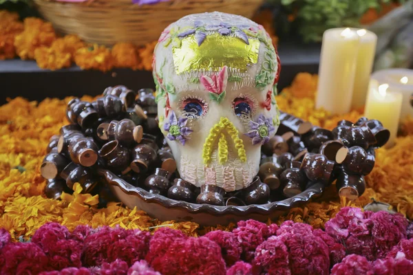 Day of the dead — Stock Photo, Image
