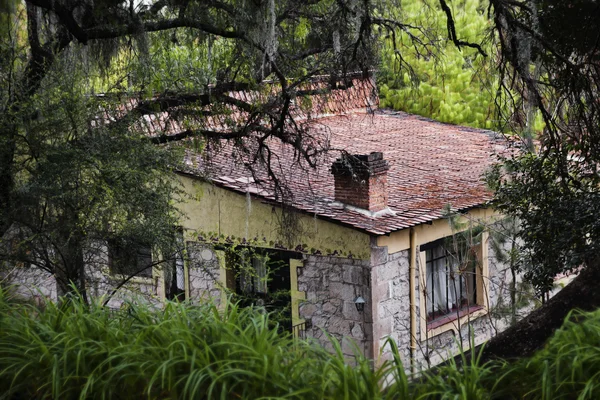 Дом в центре леса — стоковое фото