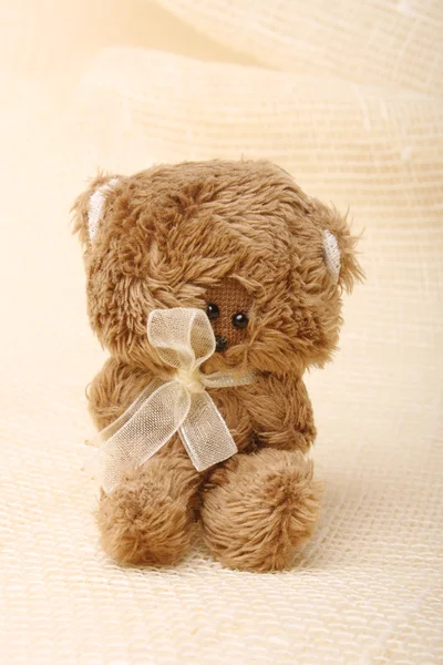 Cute teddy — Stock Photo, Image