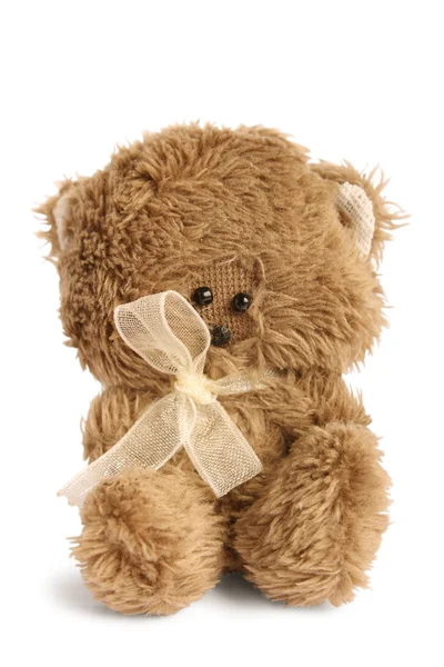 Cute teddy — Stock Photo, Image