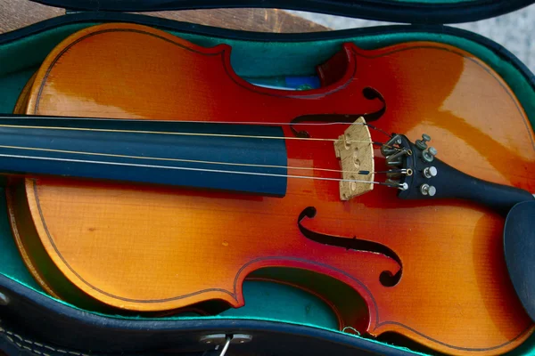 stock image Violin