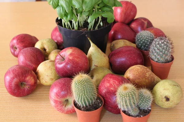 Frutas maduras — Fotografia de Stock