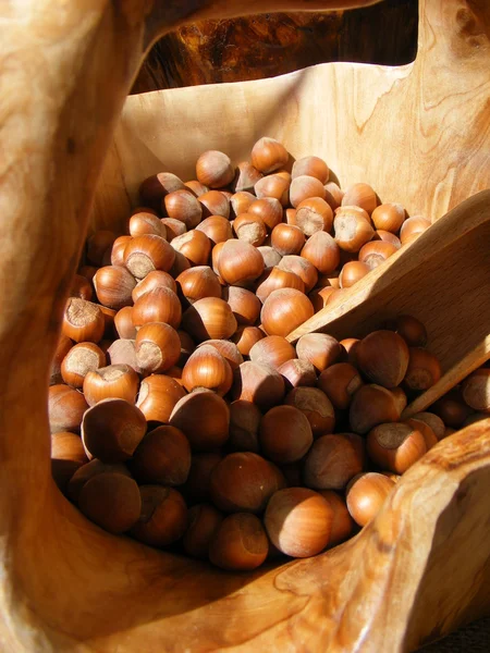 Hasselnötter till salu — Stockfoto