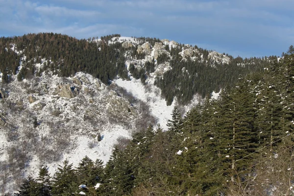 Горы снег — стоковое фото