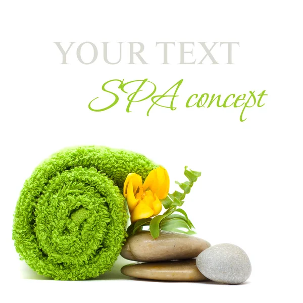 Concepto de spa - piedras, hojas verdes y flores aisladas —  Fotos de Stock