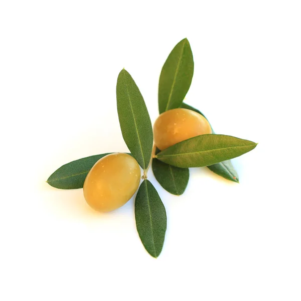 Olive isolerad på vit bakgrund — Stockfoto