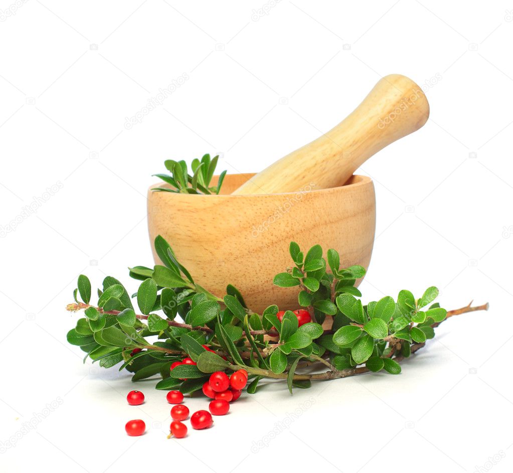 Cowberry, mortar and pestle isolated - alternative medicine and