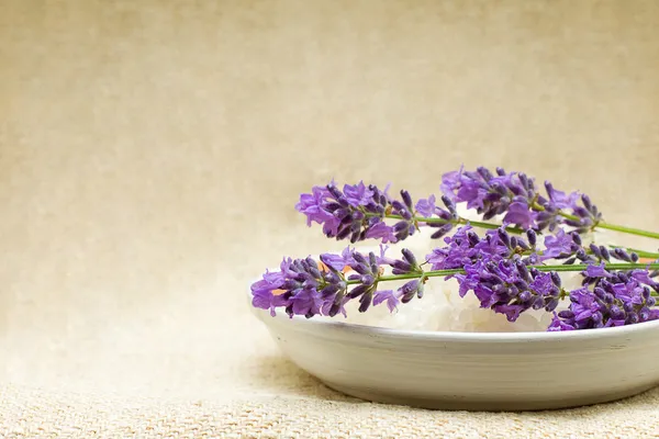 Background - Spa bath salt and lavender flowers — Stock Photo, Image