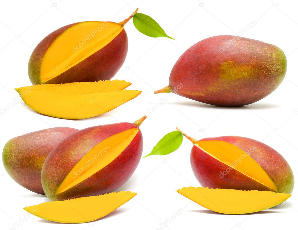 Mango isolated on white - fruit set