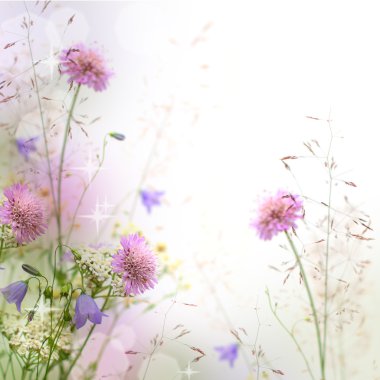 Beautiful pastel floral border beautiful blurred background (sha