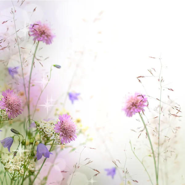 Beautiful pastel floral border beautiful blurred background (sha — Stock Photo, Image