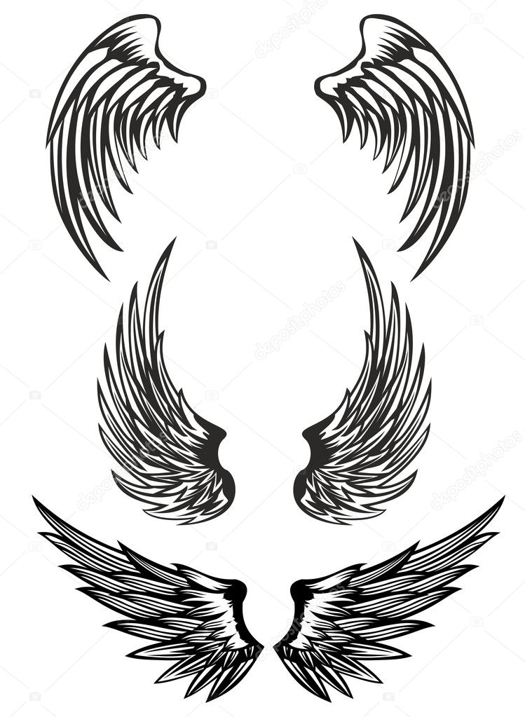 Wings set — Stock Vector © SS1001 #9772937