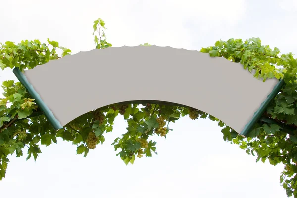 Placa vazia decorativa com folhas de vinho — Fotografia de Stock