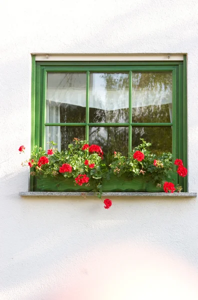Ornated pencere — Stok fotoğraf