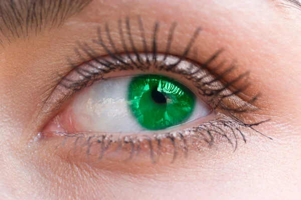 Hermosa mujer ojo verde — Foto de Stock